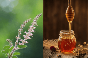 तुलसी और शहद के फायदे (Benefits of Basil and Honey)