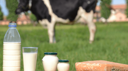 गाय के दूध के फायदे और नुकसान – Benefits Cow’s milk