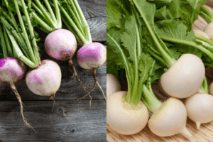 शलजम के 18 फायदे और नुकसान – Turnip और White Turnip