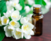 चमेली के तेल के फायदे और नुकसान – Jasmine oil Benefits