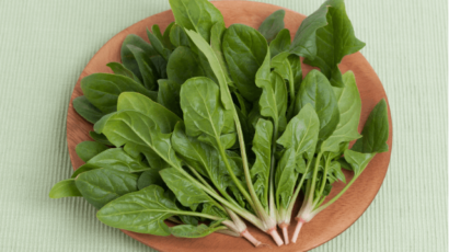 कच्चा पालक खाने के फायदे – Raw Spinach Benefits