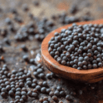 सरसों (राई) के फायदे और नुकसान – Mustard Seeds