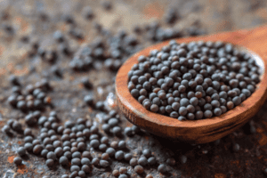 राई के फायदे और नुकसान – Black Mustard Seed
