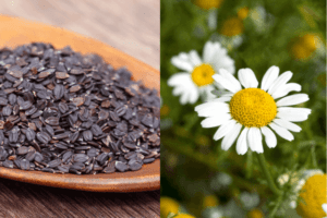 अकरकरा और तुलसी के बीज के फायदे – Akarkara and Basil Seeds