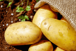 आलू खाने के फायदे एवं नुकसान – Potato