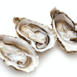 ऑयस्टर के फायदे और नुकसान - Oyster