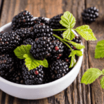 ब्लैकबेरी के फायदे और नुकसान – Blackberry