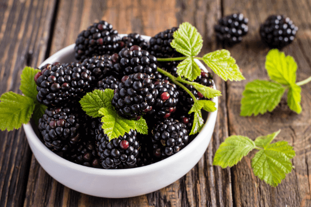 ब्लैकबेरी के फायदे और नुकसान – Blackberry