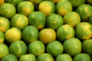 मौसंबी के फायदे और नुकसान – Mosambi (Sweet lemon)