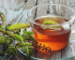 तुलसी ग्रीन टी के फायदे और नुकसान – Tulsi Green Tea