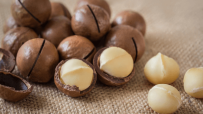 मैकाडामिया नट्स के फायदे और नुकसान – Macadamia Nuts