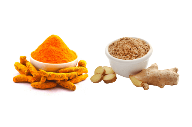 हल्दी और सौंठ के फायदे - Benefits of Turmeric and Ginger Powder