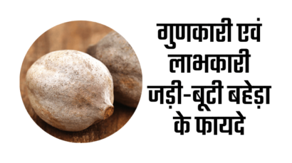 बहेड़ा के फायदे ( Benefits of Baheda in hindi )